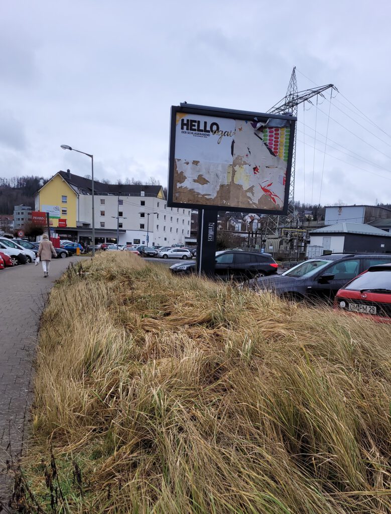 Zustand vor Projektbeginn: unbepflanztes Wiesenstück zwischen Straße und Parkplatz