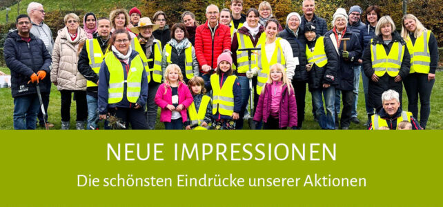 Neue Impressionen „Pflanzaktion & Friedensbaum“