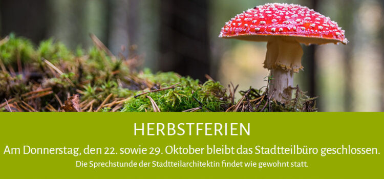 Infografik zu den im Text erläuterten Inhalten