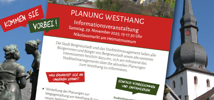 Informationen zur Planung Westhang – Infostand auf dem Nikolausmarkt