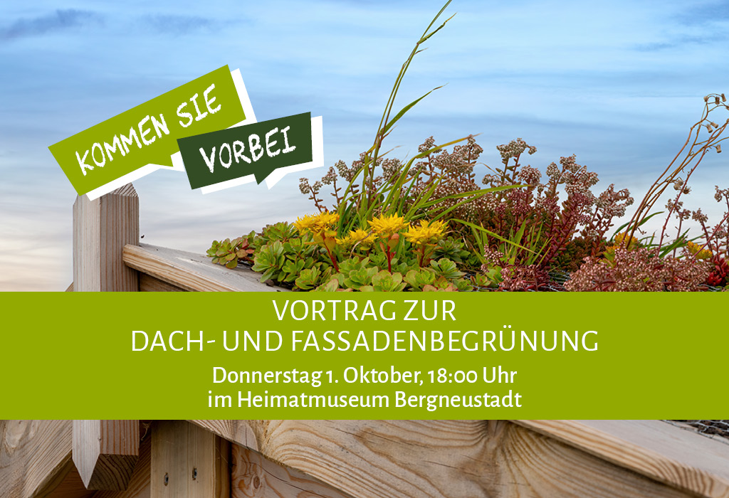 Vortrag zur Dach- und Fasadenbegrünung