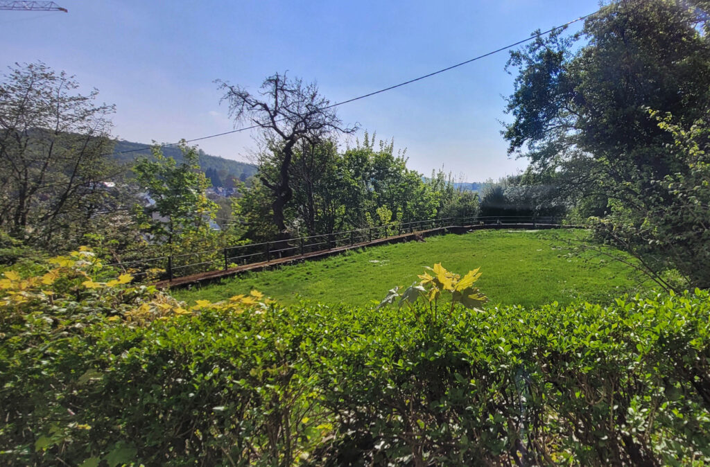 Zustand vor Projektbeginn: Wiesestück umgeben von Bäumen und Sträuchern