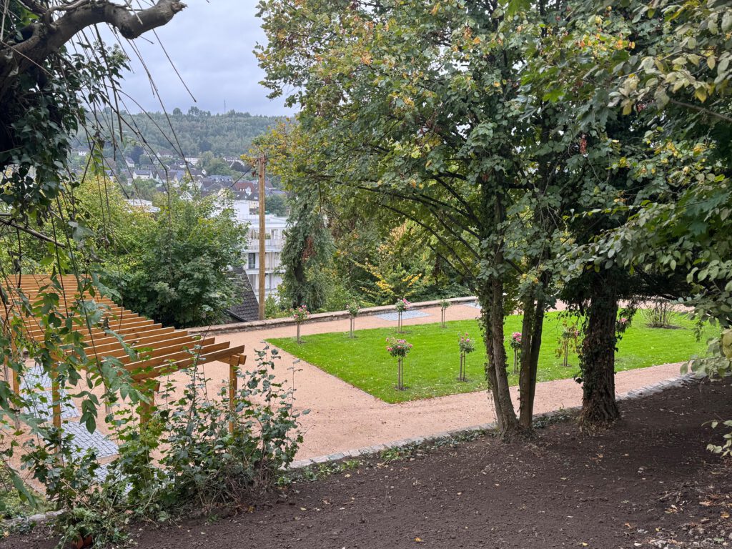 Zwischenstand: säuberlich angelegtes Wiesenstück mit neu gepflanzten Rosenspaliersträuchern, umrandet von einem Weg mit wassergebundener Decke und einer Pergola