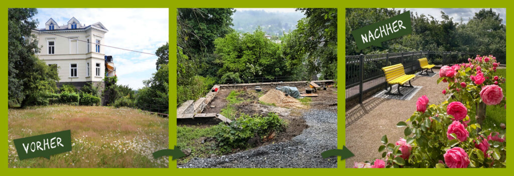 Grafik mit Fotos zur zeitlichen Entwicklung des Projekts: Zustand vor Projektbeginn: naturbelassenes Wiesestück umgeben von Bäumen und Sträuchern vor der Krawinkelvilla. Zwischenstand: stellenweise umgegrabenes Wiesenstück auf dem Baumaterialien verteilt liegen. Im Vordergrund befindet sich eine provisorische Zufahrt aus Schotter. nach Projektfertigstellung: gelbe Sitzbänke entlang eines säuberlich angelegten Wiesenstücks mit Rosenspaliersträuchern.